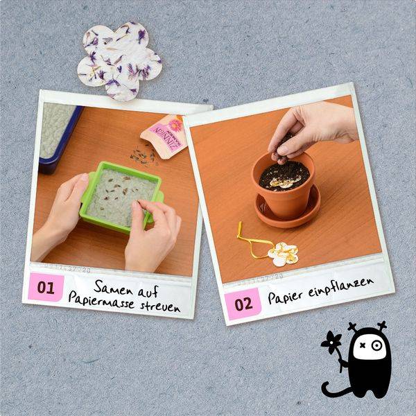 KOSMOS - AllesKönnerKiste - Blühendes Papier