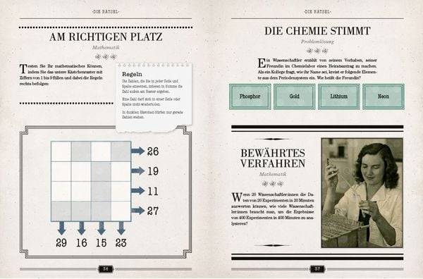 Einsteins Rätselbuch – Logikrätsel für geniale Köpfe (SPIEGEL Bestseller-Autor)