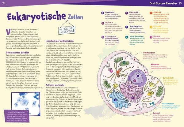 WAS IST WAS Naturwissenschaften easy! Biologie. Die Zelle