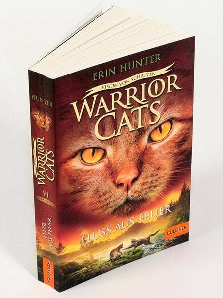 Warrior Cats - Vision von Schatten. Fluss aus Feuer