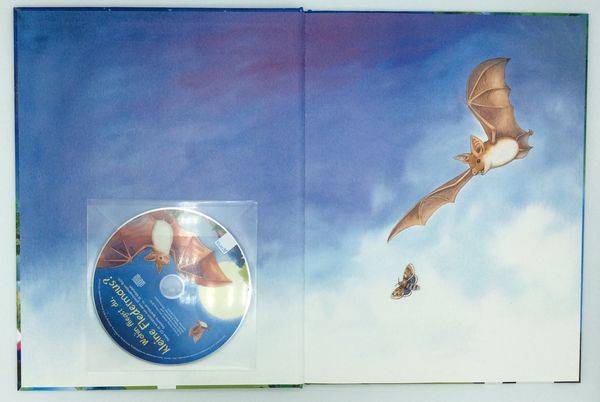 Wohin fliegst du, kleine Fledermaus?