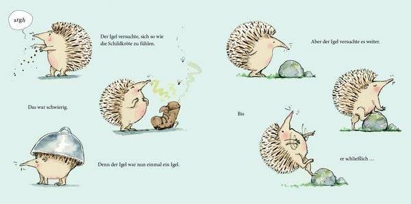 Was fehlt der Schildkröte?