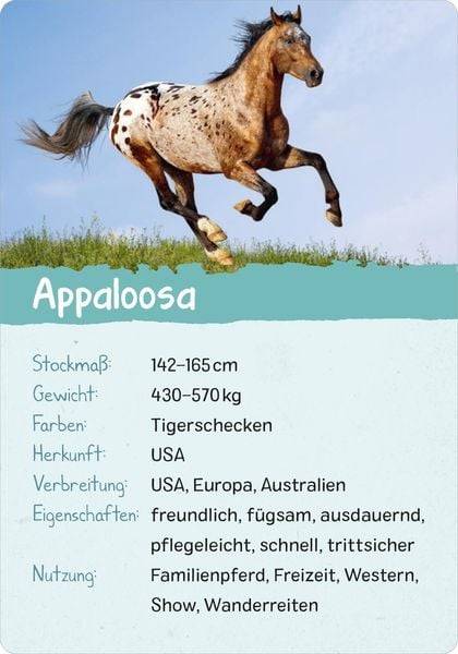 Naturforscher-Kids – Pferde & Ponys
