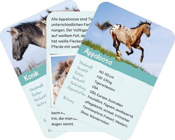 Naturforscher-Kids – Pferde & Ponys