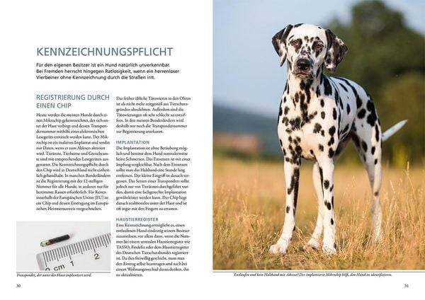 Hundeführerschein und Sachkundenachweis