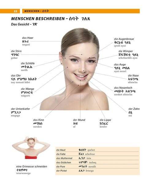 PONS Bildwörterbuch Tigrinisch
