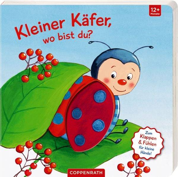 Mein erstes Guckloch-Fühlbuch: Kleiner Käfer, wo bist du?