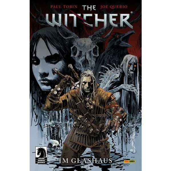 The Witcher The Witcher