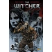 The Witcher The Witcher