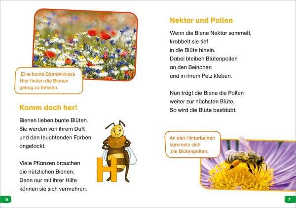 WAS IST WAS Erstes Lesen easy! Band 3. Wie lebt die Honigbiene?