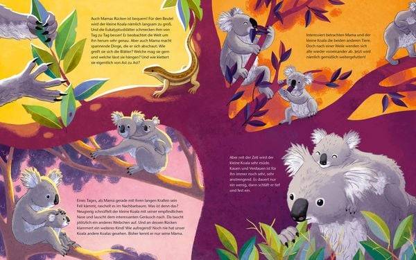 Der kleine Koala - Zu Hause im Eukalyptus