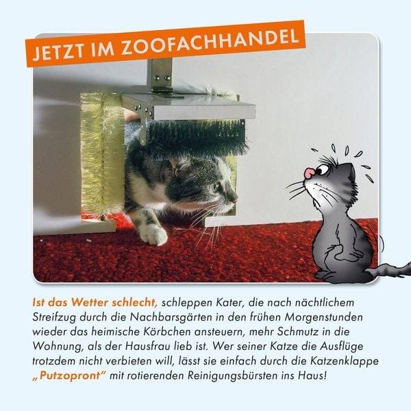 Viel Spaß mit Katzen