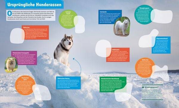 WAS IST WAS Stickerheft Hunde