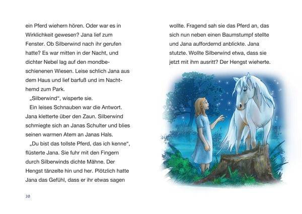 Silberwind, das weiße Einhorn (Band 1) - Der verzauberte Spiegel