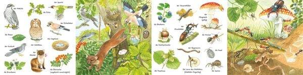 Mein kleines buntes Bildwörterbuch: Im Wald