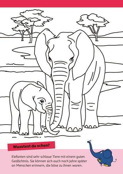 Die Maus - Malblock mit Sachwissen Natur & Tiere