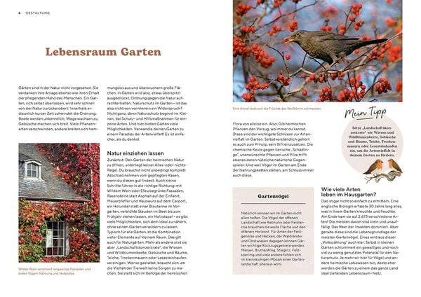 Vogelparadies Garten