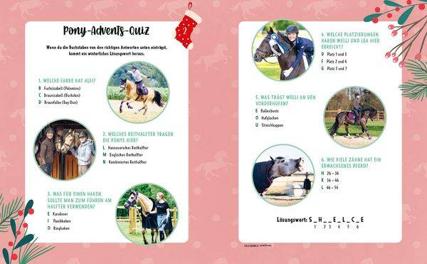 # ponylife – Mein Adventskalenderbuch – Von Lia und Lea