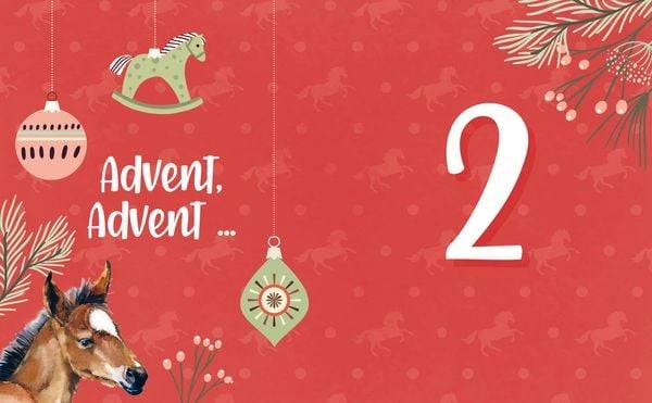 # ponylife – Mein Adventskalenderbuch – Von Lia und Lea