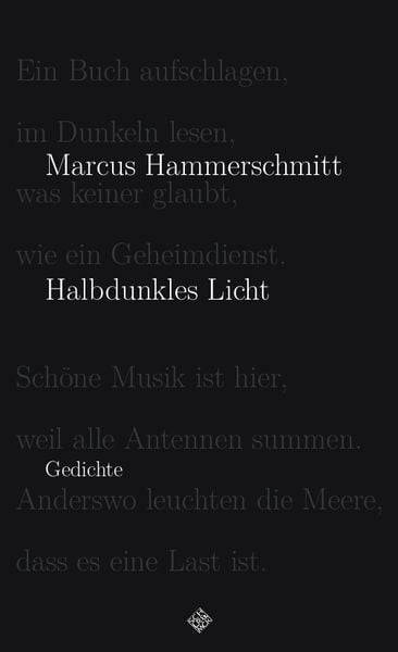 Halbdunkles Licht