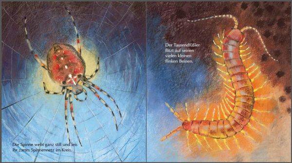 Mein kleines Insektenbuch