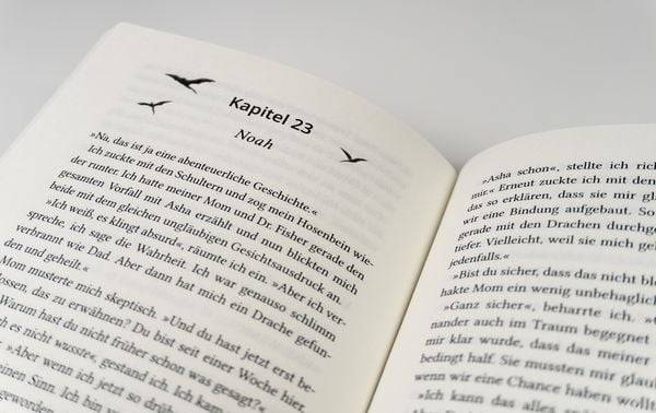 New Dragon City – Ein Junge. Ein Drache. Eine verbotene Freundschaft