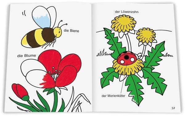 Meine ersten deutschen Wörter. Ausmalen und Lernen