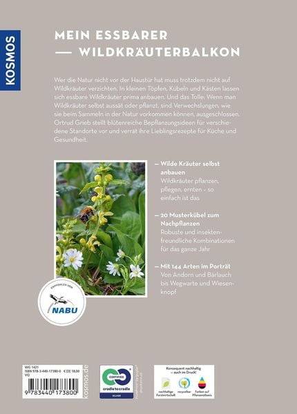 Wildkräuter in Töpfen & Kübeln