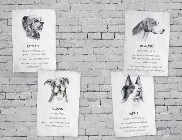 Buddy – Mein Leben als Straßenhund