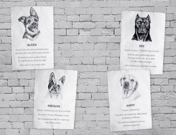 Buddy – Mein Leben als Straßenhund