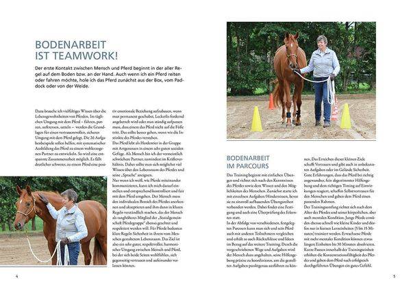 Bodenarbeit für Pferde