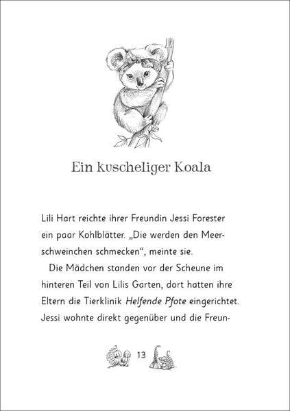 Die magischen Tierfreunde (Band 17) - Kiki Koala und die magische Schule