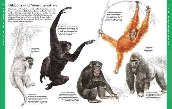 Der große Kosmos Tieratlas