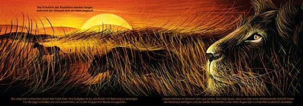 Eine Nacht in der Savanne