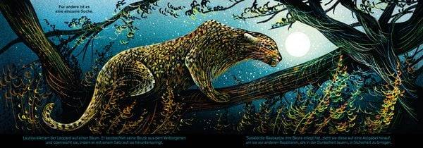 Eine Nacht in der Savanne