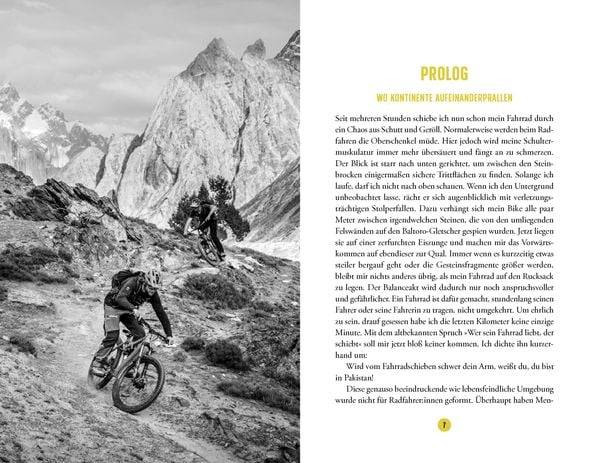 Unter die Räder gekommen