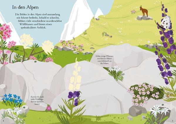 Mein Immer-wieder-Stickerbuch: Wildblumen
