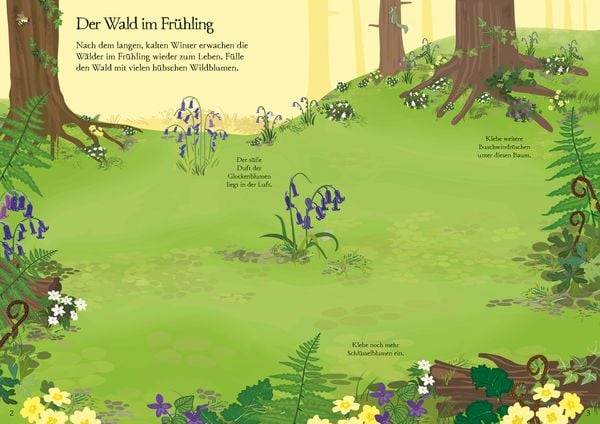 Mein Immer-wieder-Stickerbuch: Wildblumen