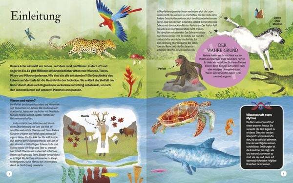 Die Geschichte des Lebens - Erstaunliche Evolution!