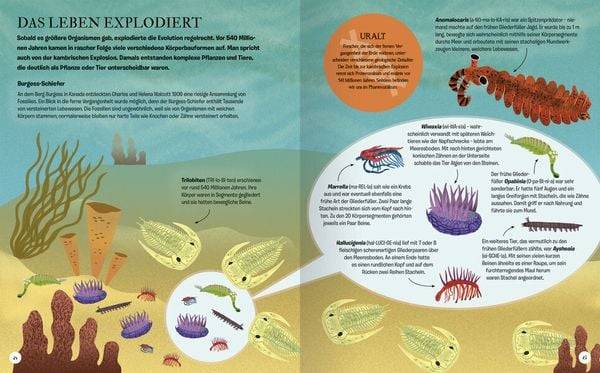 Die Geschichte des Lebens - Erstaunliche Evolution!