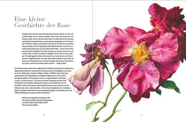 Rosen