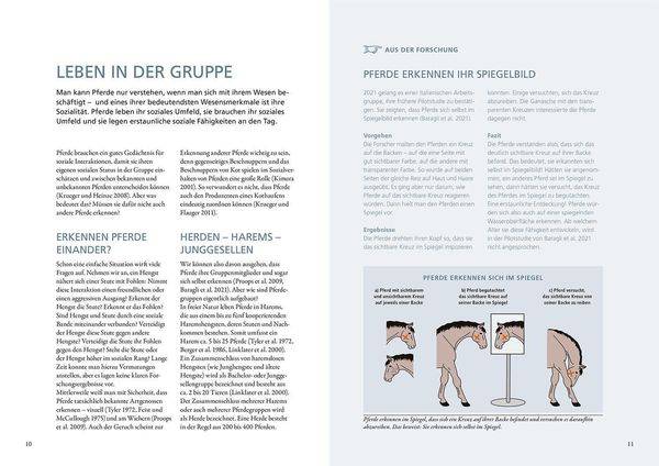 Forschung trifft Pferd