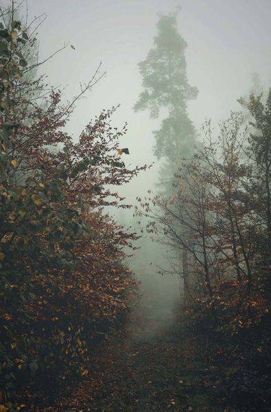 Von Hexen, Geistern und Verbrechern