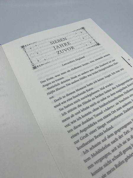 Silver in the Bone. Brich den Fluch, bevor der Fluch dich bricht (Die Hollower-Saga 1)