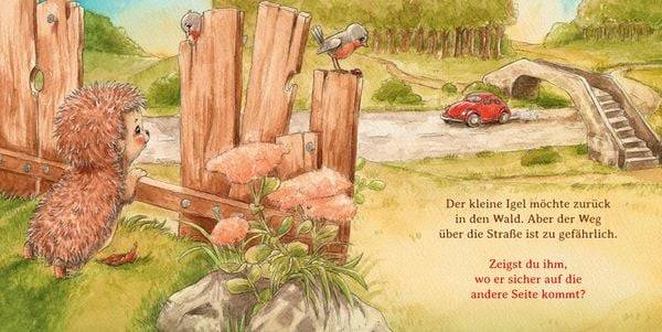 Schlaf schön, kleiner Igel (Mini-Ausgabe)