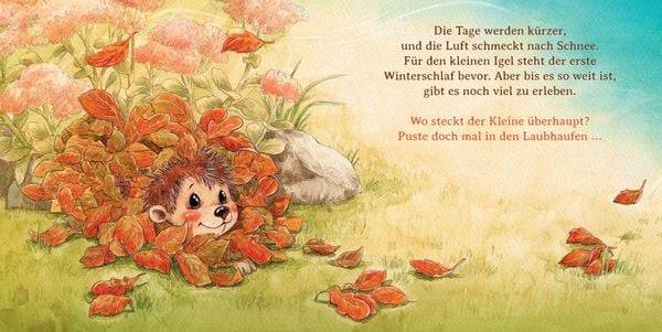 Schlaf schön, kleiner Igel (Mini-Ausgabe)