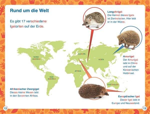 Superleser! Hallo, Igel!