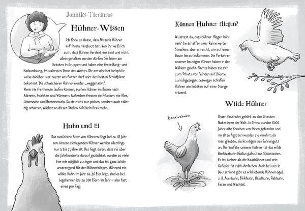 Die Grünen Piraten – Krumme Tour auf dem Hühnerhof