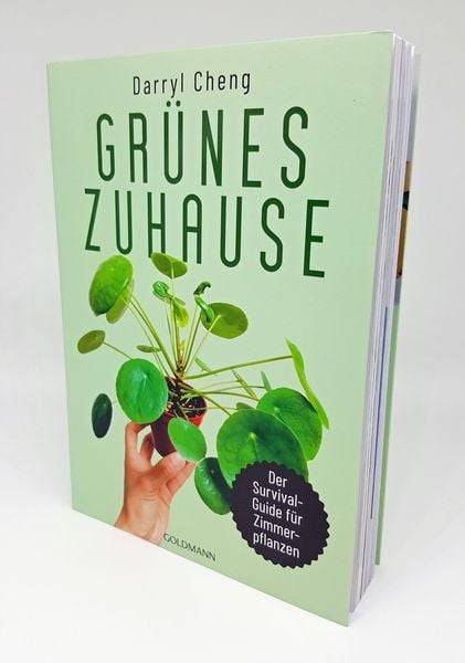 Grünes Zuhause