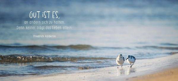 Gute Besserung